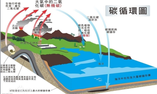 碳营养与土壤碳循环