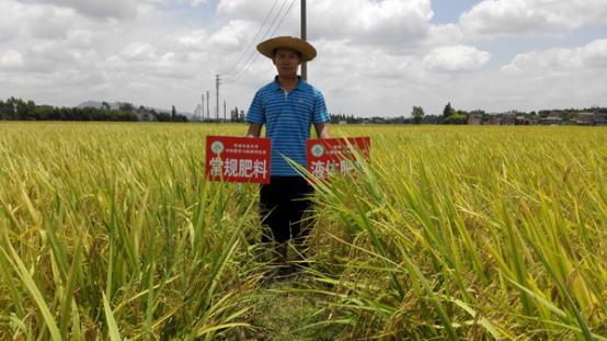 东莞一翔：满载乡喜液体肥料扬帆起航