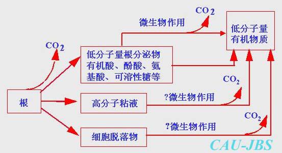 鍥剧墖1.jpg