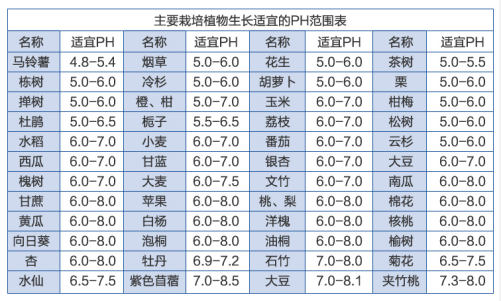 鍥剧墖9.png